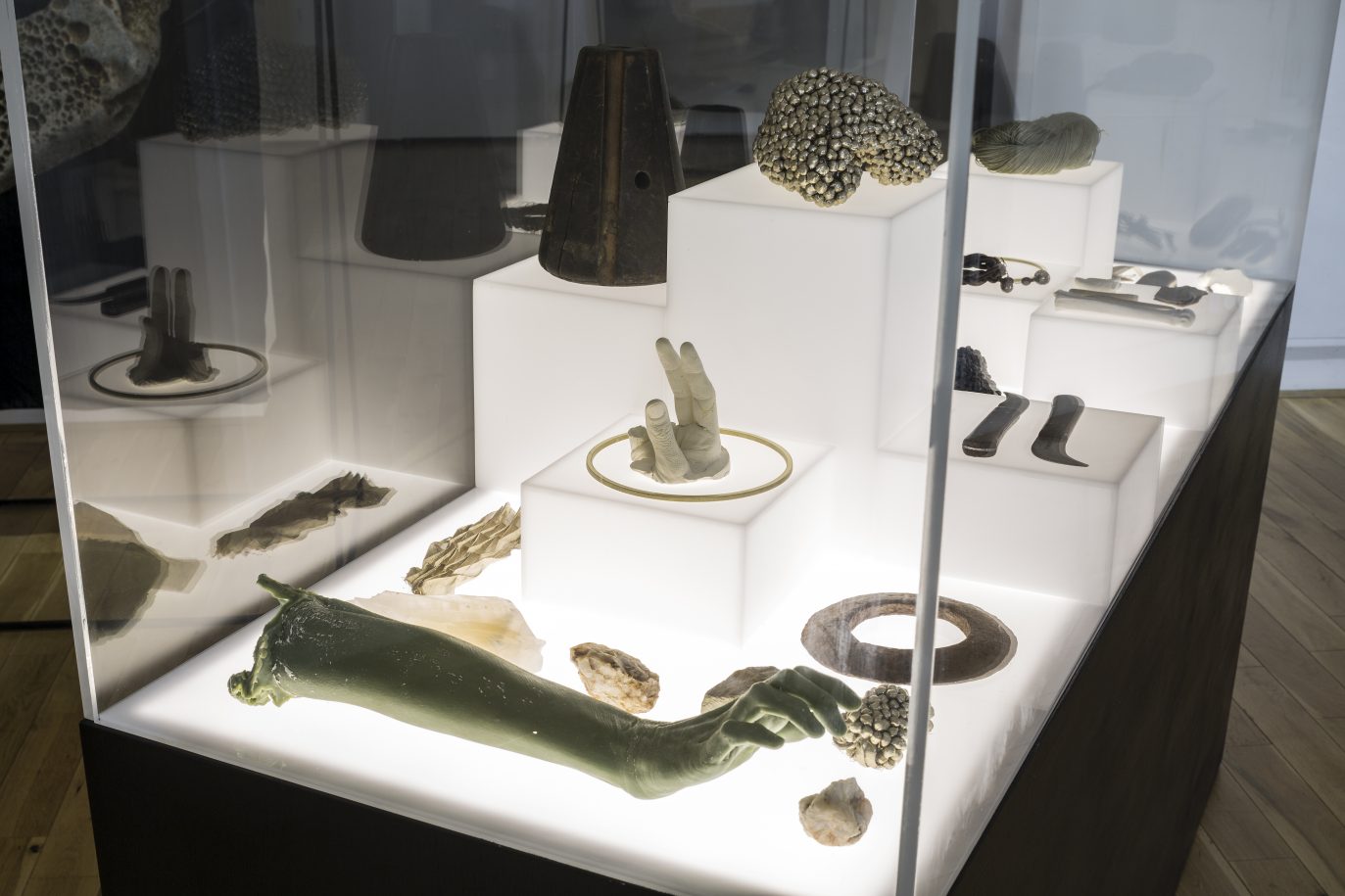10.SAM Cabinet Of Evolving Propositions Installation View