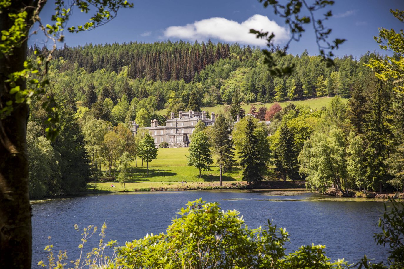 Upper Loch At Bowhill