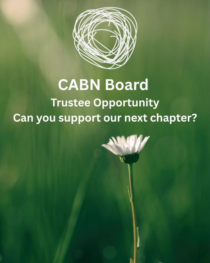 White writing inviting applications to join the board of CABN. On a green blurred image with a daisy in the foreground.