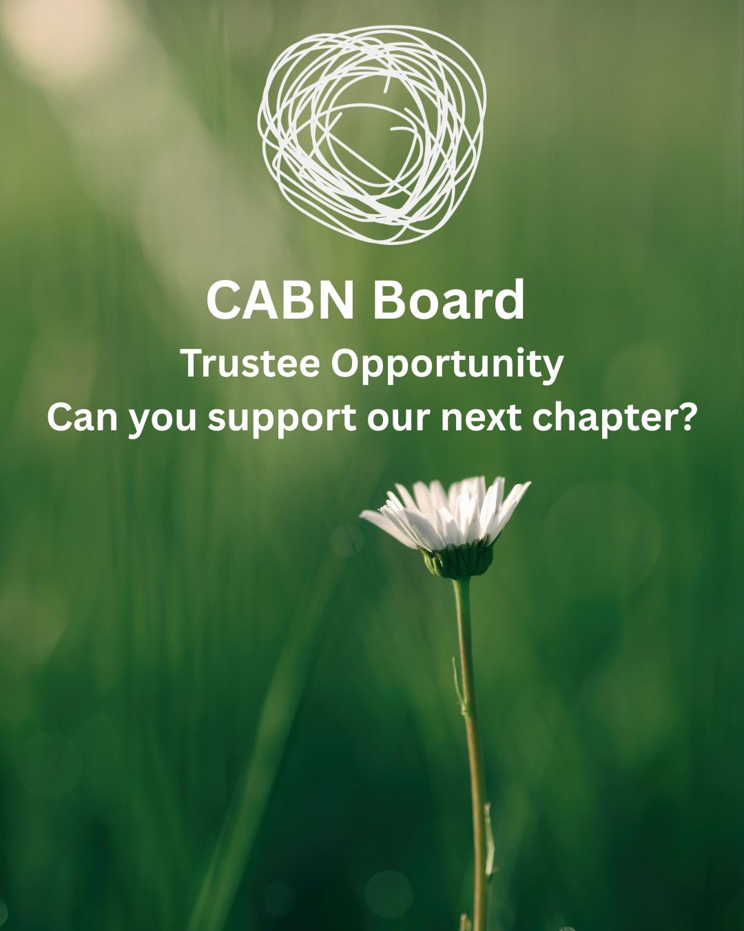 Join Our Board